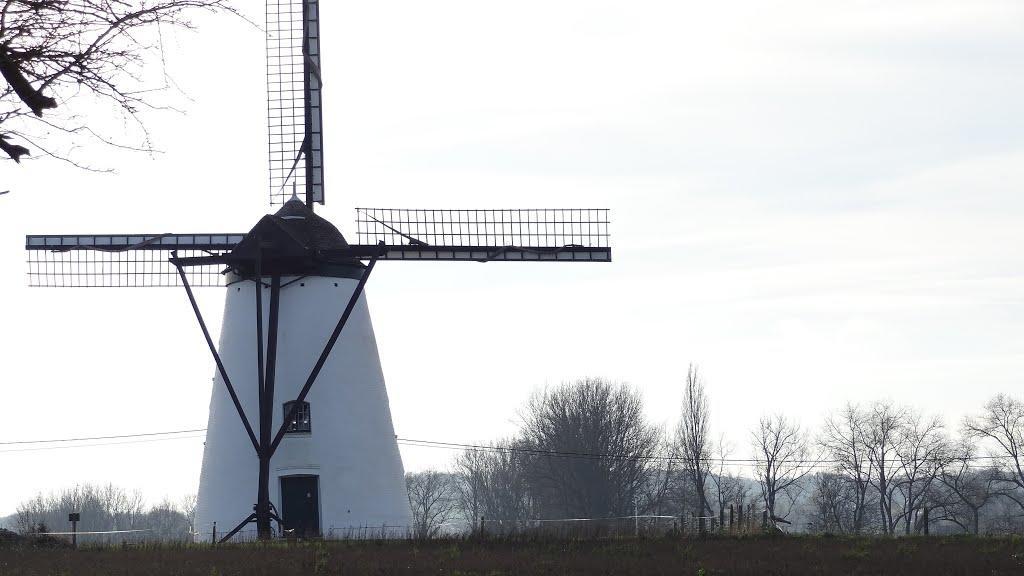B&B Moriaan Brakel Exterior photo